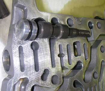 120128_r35_tm_3_web.jpg 120128_r35_tm_3_web.jpg