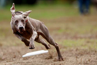 120131_vivi_p_kai_web.jpg 120131_vivi_p_kai_web.jpg